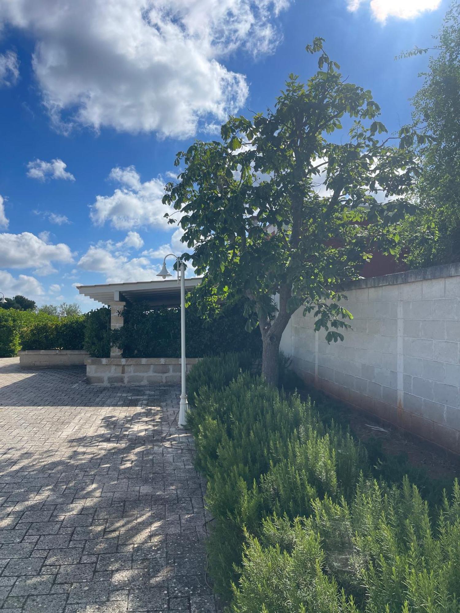 Masseria Don Bonifacio Кастеллана-Гротте Экстерьер фото